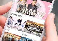 手机看片1024国产旧版,经典回忆，重温经典瞬间