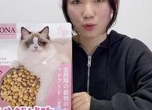 国产a斤,引领行业新潮流的匠心之作