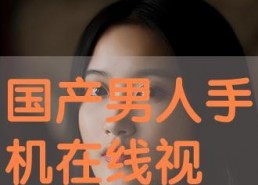 国产超级在线,引领潮流的本土创新力量