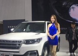 精选国产,精选国产生态的崛起与未来展望